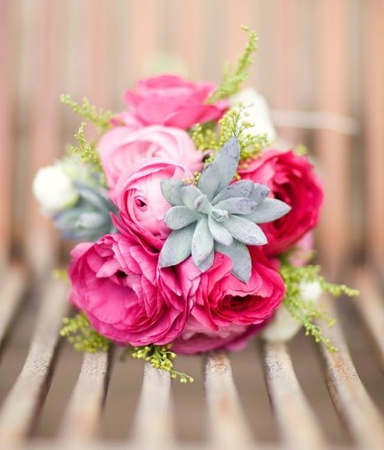 Renoncule: belle alternative contre la pivoine 4