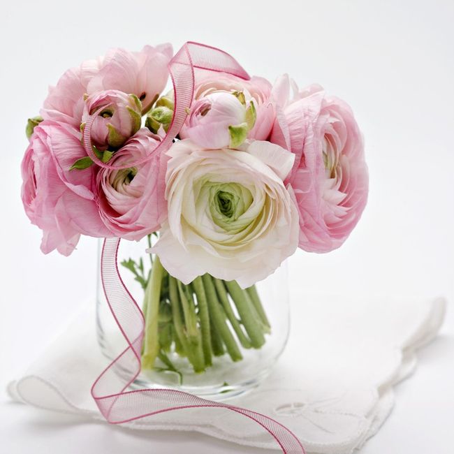 Renoncule: belle alternative contre la pivoine 14