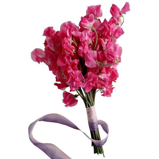 Le pois de senteur: un bouquet delicat pour votre mariage?!! 2