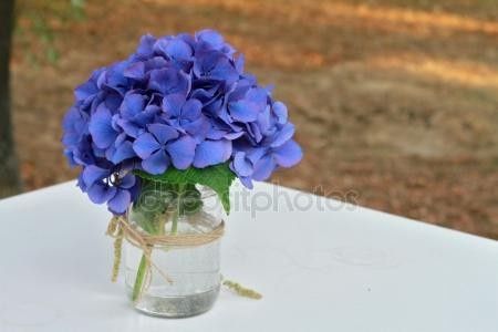 Et des hortensias? - 7