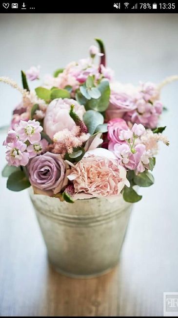 Astilbé! Fleure champêtre! - 9
