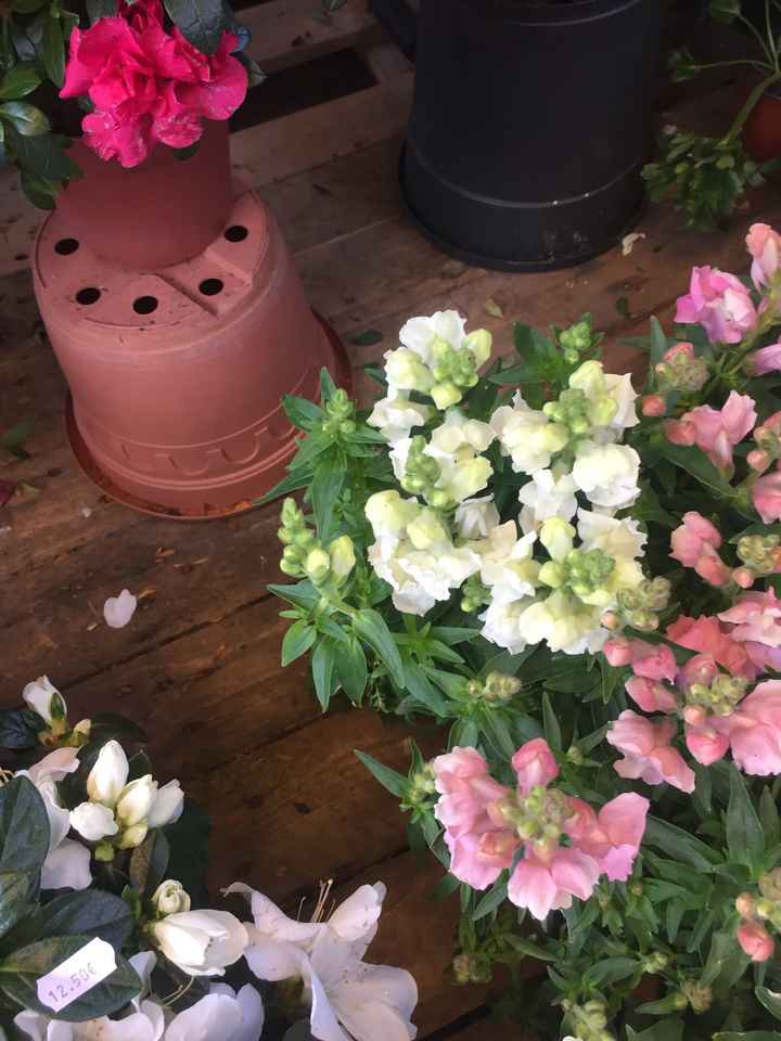 Inspiration fleurs blanches et bleues - 2