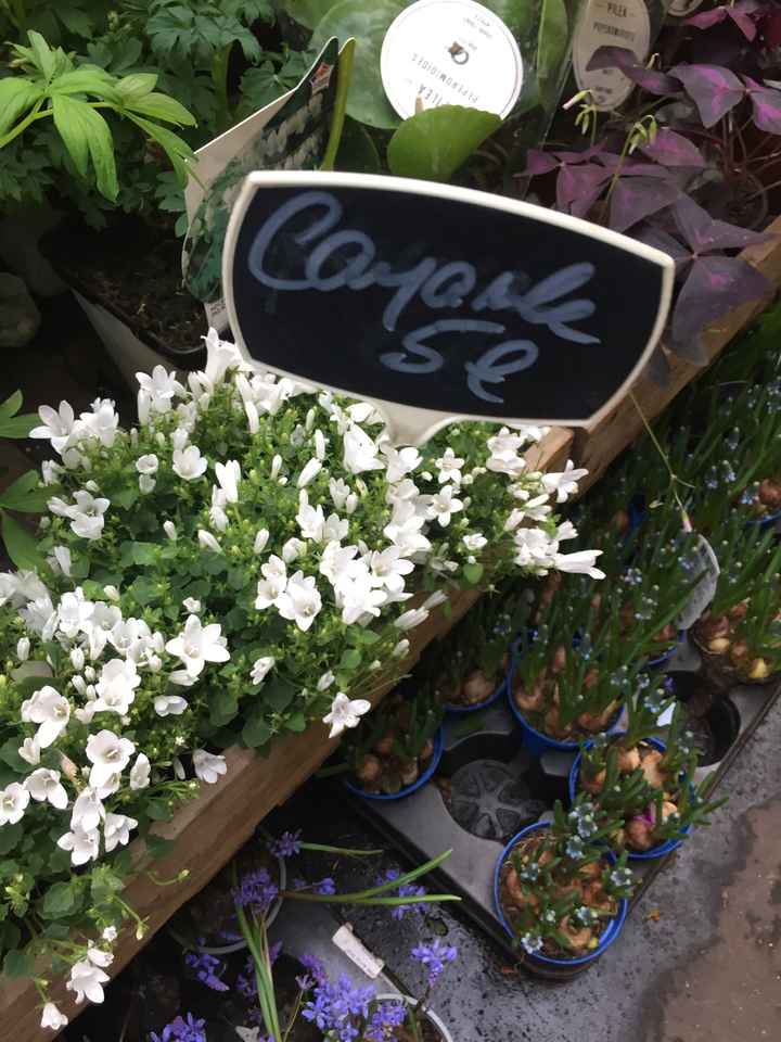 Inspiration fleurs blanches et bleues - 7