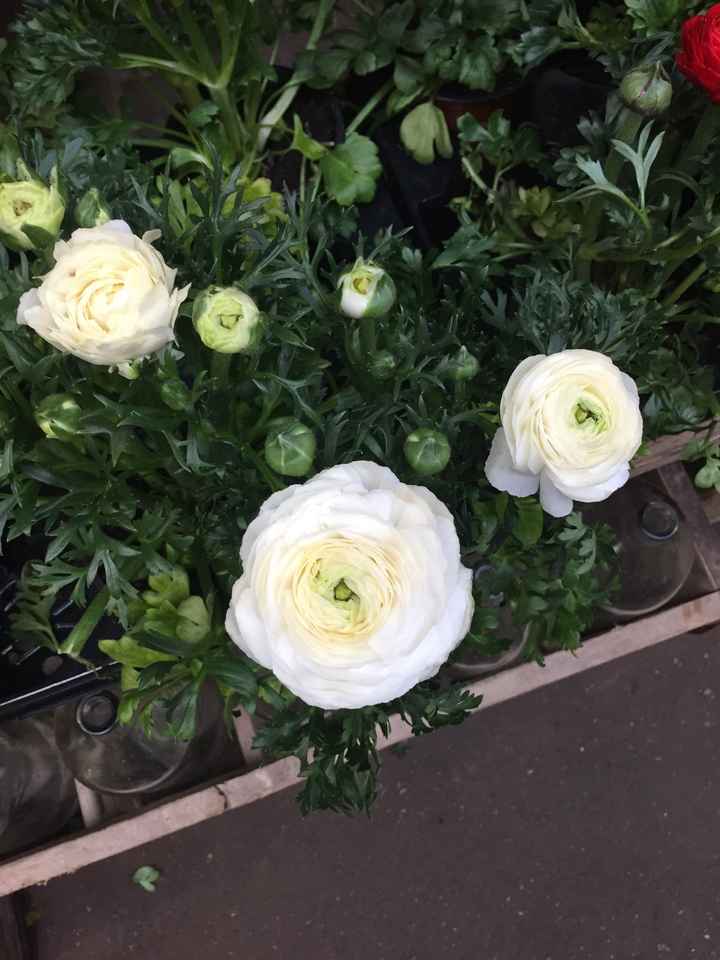 Inspiration fleurs blanches et bleues - 10