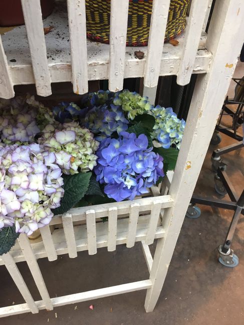 Inspiration fleurs blanches et bleues - 9