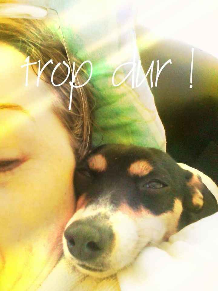 Pension réservée pour mon dindon... - 1