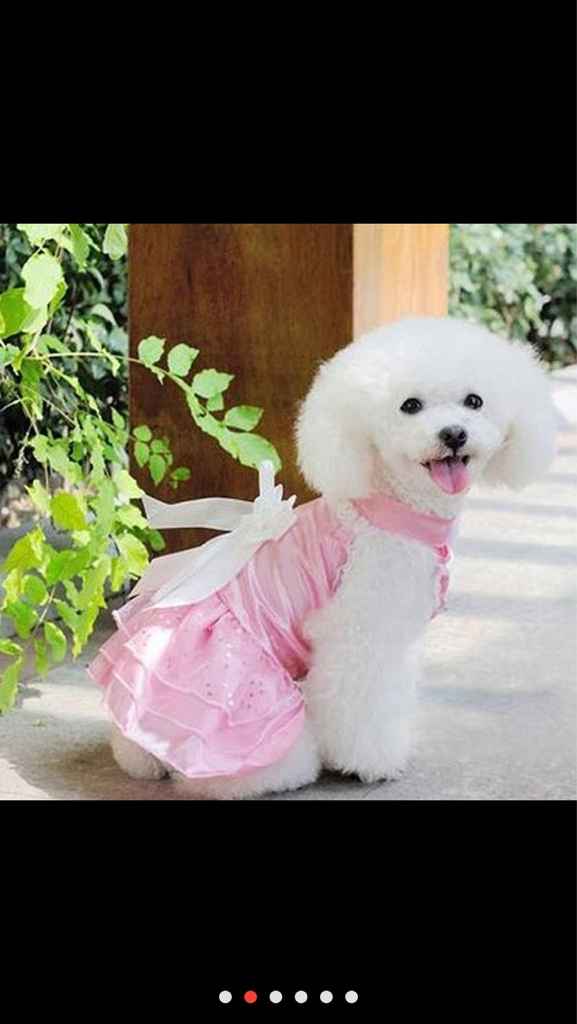 Pension réservée pour mon dindon... - 1