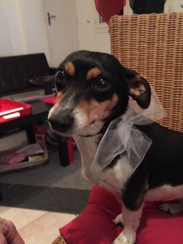 Noeuds de voiture mais ..... - 1