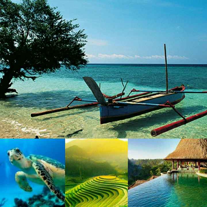 Quand le rêve bali devient réalité ! - 1