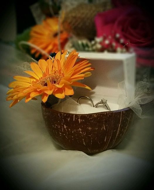 Thème exotique des antilles - 1