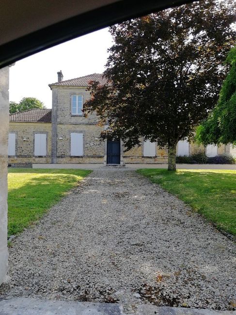 Haie pour la mairie - 1