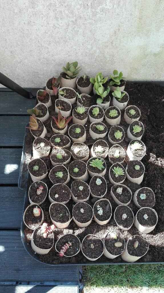 Prépa des futurs Dy - 1