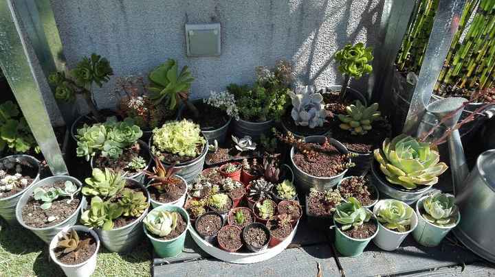 Prépa des futurs Dy - 2