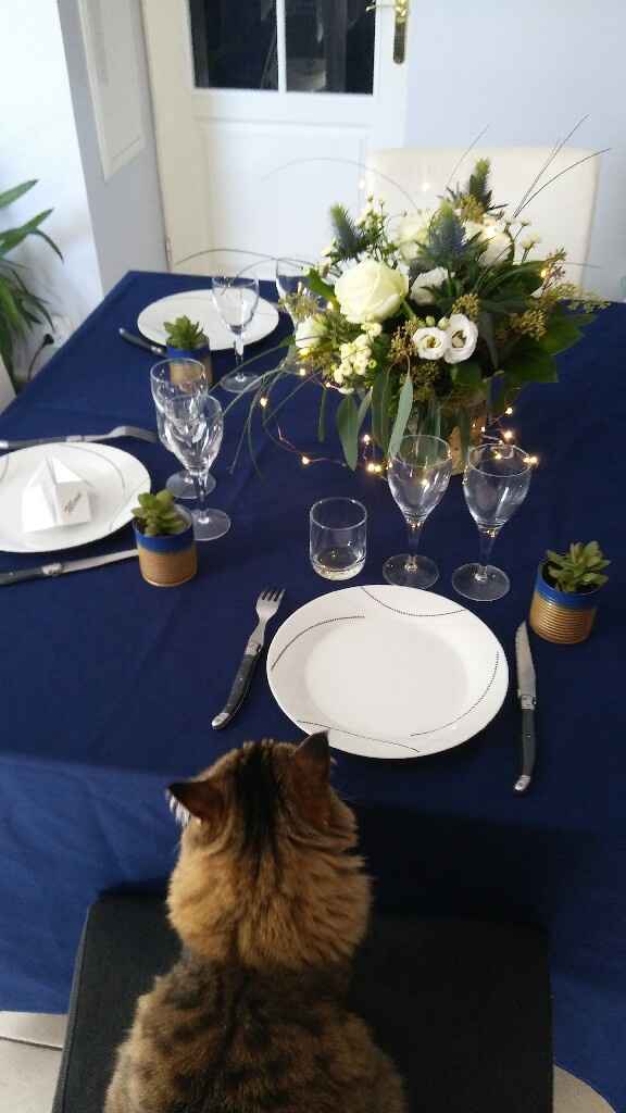 Housses ou pas ?! - 1