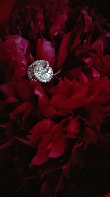 Alliance commandée ! - 1