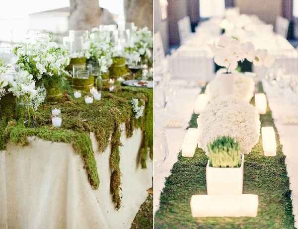 mousse végétale pour décorer sa salle