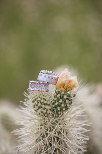 mariage cactus