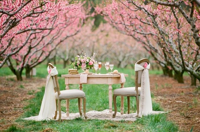 mariage fleurs