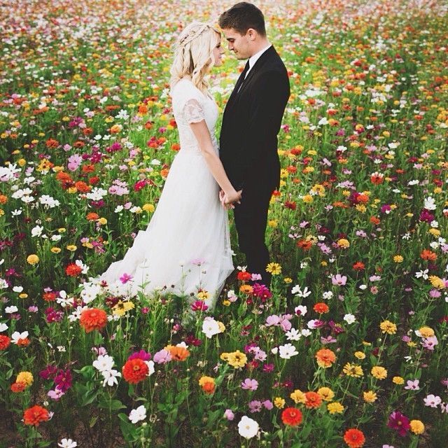 photo de mariage 
