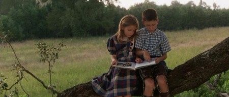 forest gump
