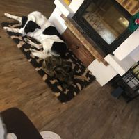 Oui 😁 ou non 😒  : Partie 4 - 1