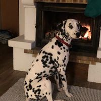 Oui 😁 ou non 😒  : Partie 4 - 1