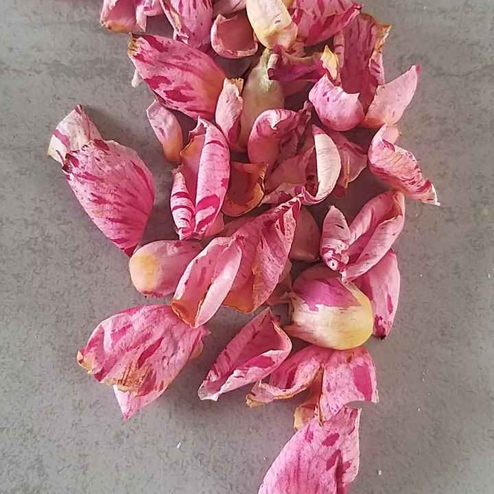 Ma petite Déco diy - 2