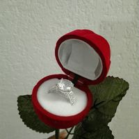 Porte alliance reçu - 2