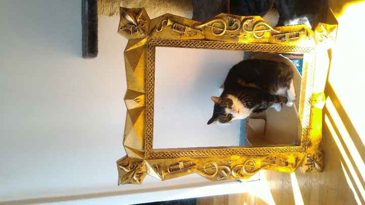 Première commande aliexpress - 1