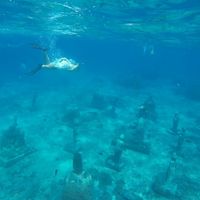 Voyage en avance - 1