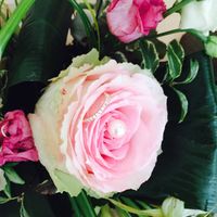 Notre merveilleux jour ! - 1