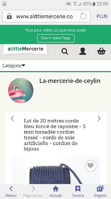 A la recherche de corde bleue - 2