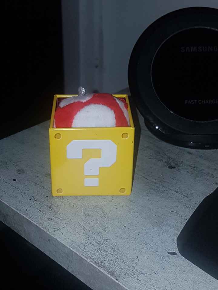 Vous avez dit champignon ? - 1