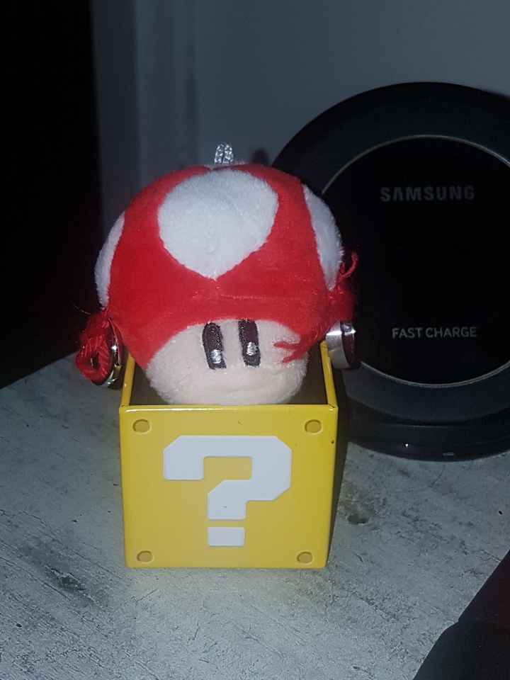 Vous avez dit champignon ? - 2