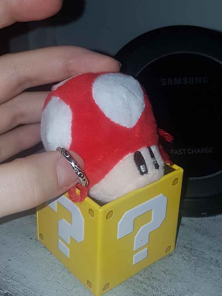 Vous avez dit champignon ? - 3