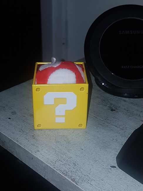 Vous avez dit champignon ? - 1