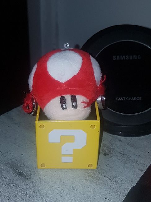 Vous avez dit champignon ? - 2