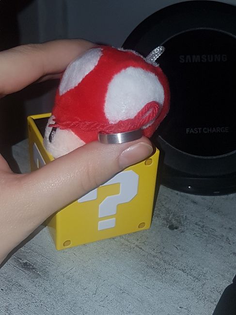Vous avez dit champignon ? - 4