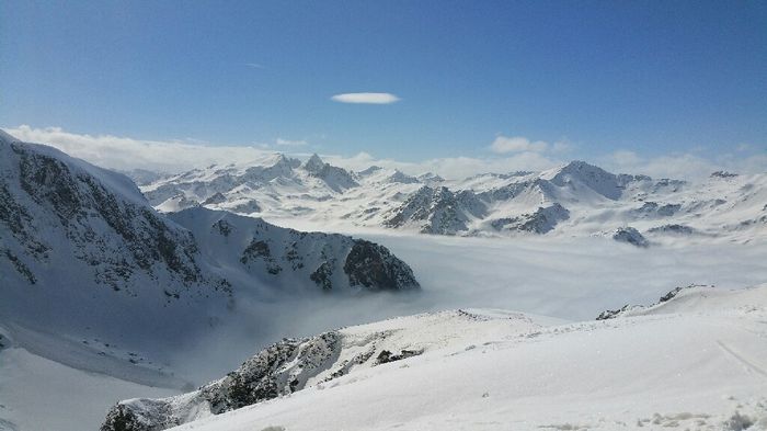 Demande en mariage - 1