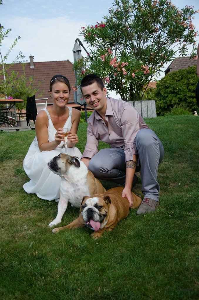 Prendre son chien le jour de son mariage - 2