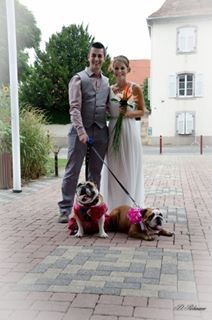 Prendre son chien le jour de son mariage - 1