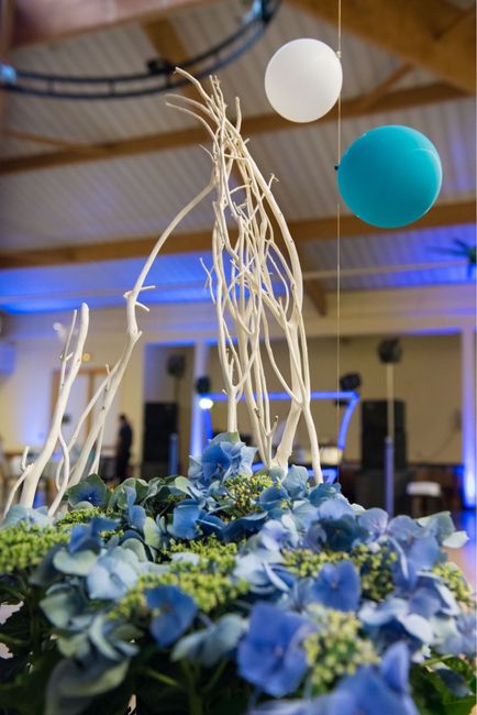 Couleur theme exotique - 5