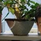 Matthieu