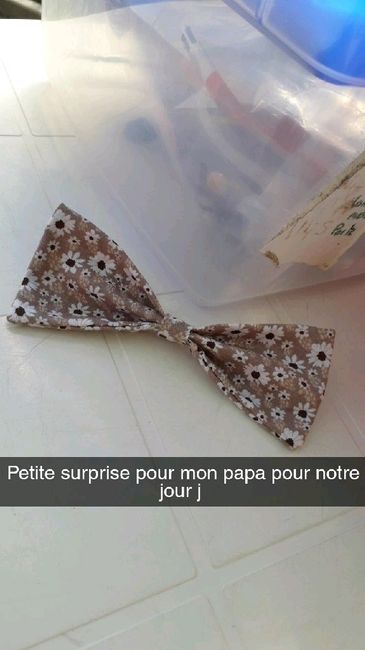 Nœud papillon liberty - 1