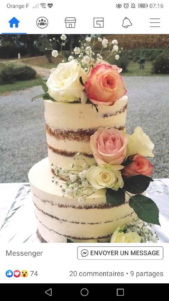 🎨 La couleur pour le gâteau : Vote ! - 1