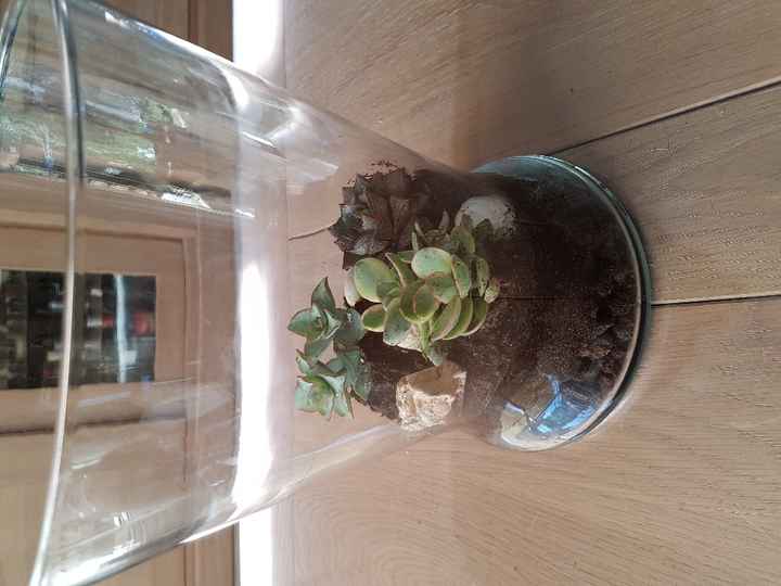 Idée terrarium - vase - 1