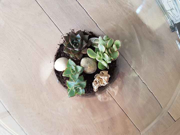 Idée terrarium - vase - 2