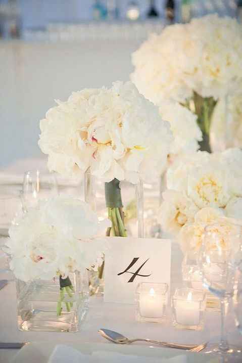 Inspis décos & florales 🌿💐🌷 - 3