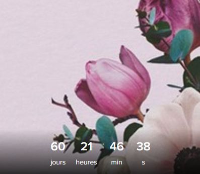 Dans 15 jours et dans 60 jours mes deux dates de mariage 1