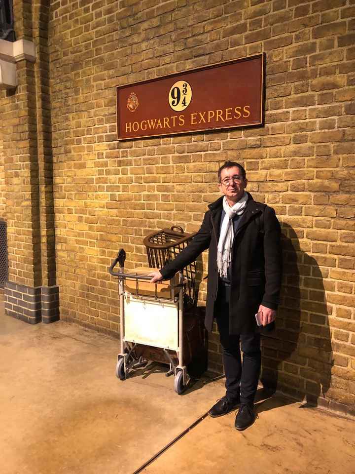 Pour celle aui ont un theme Harry Potter - 4